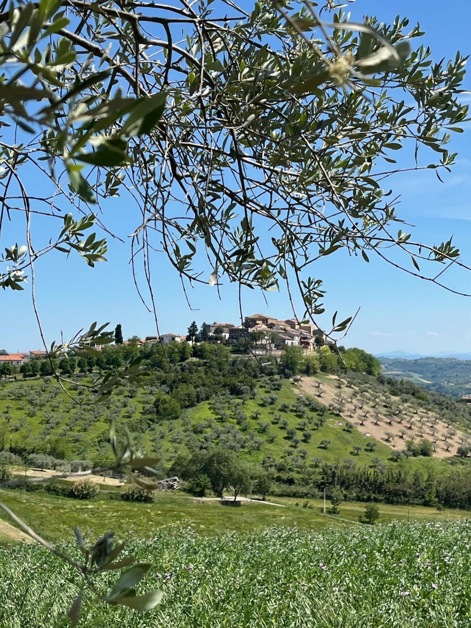 Bed and Breakfast Flavia 21 Elice Esterno foto