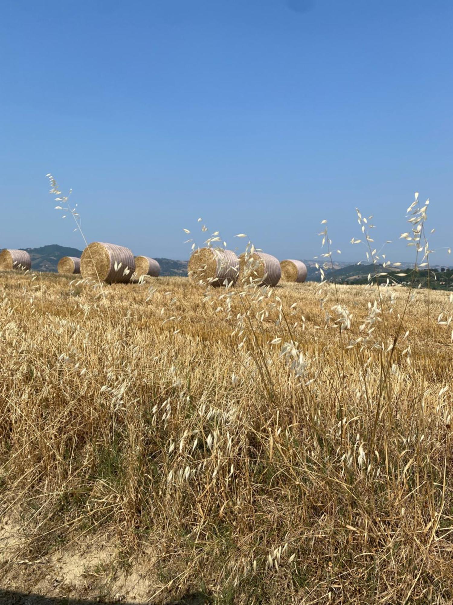 Bed and Breakfast Flavia 21 Elice Esterno foto